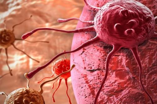 تأثیر ترکیب بادرنجبویه ونانو نقره-گرافن در مهار سلول های سرطانی